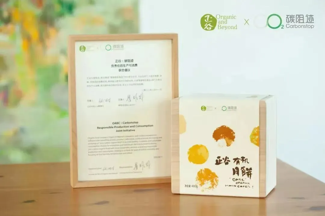 640 (7)_17288962702826.webp